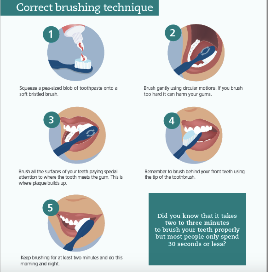 Dental Health Week Fun Fact Brushing technique Signature Smiles Dental
